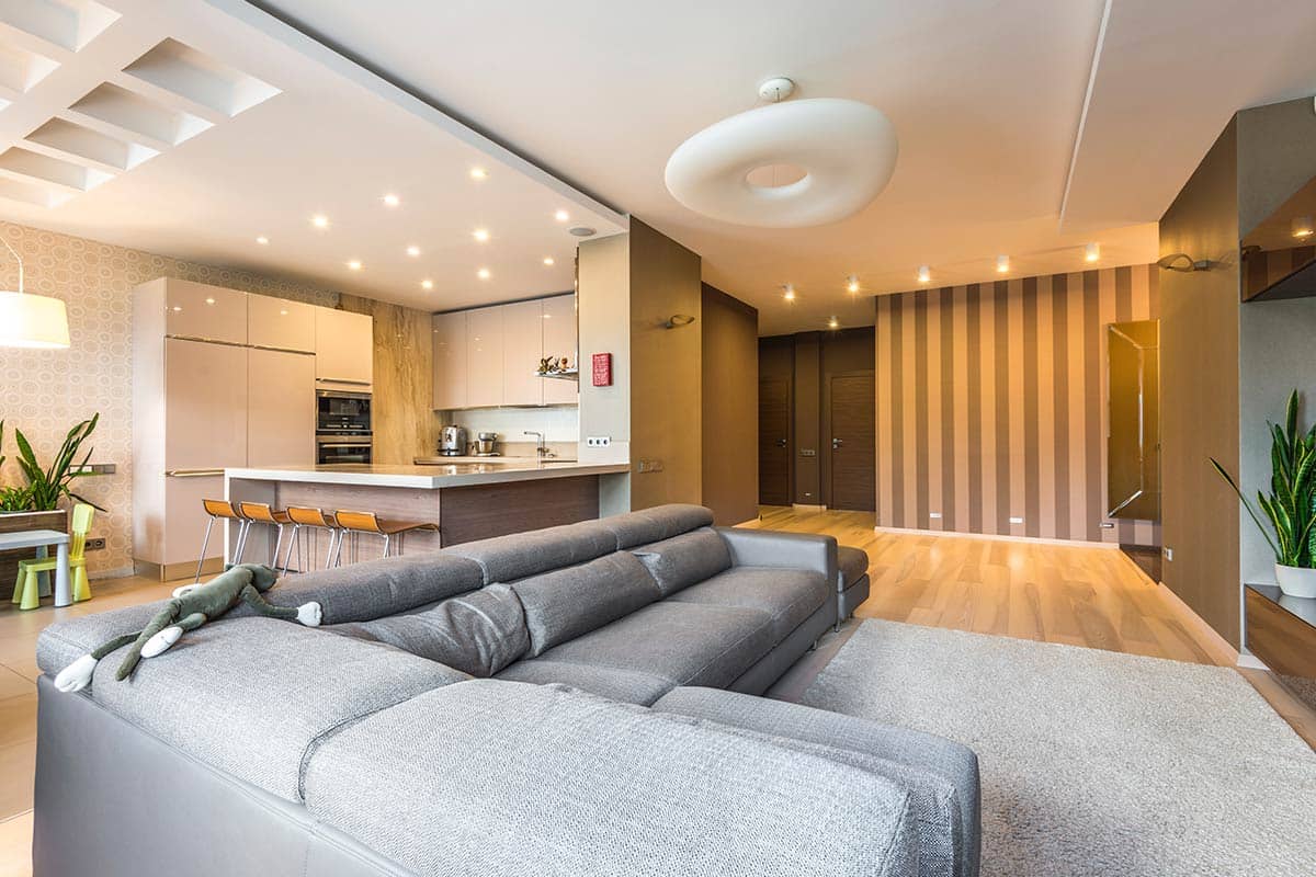 Luxury Lounge with Kitchen View Luxury Lounge with Kitchen View